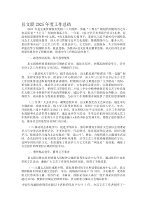 县文联2025年度工作总结