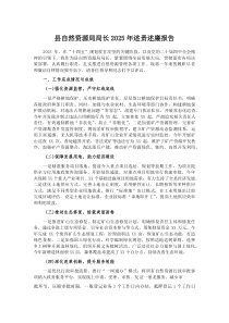 县自然资源局局长2025年述责述廉报告