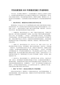 市发改委党组2025年抓基层党建工作述职报告