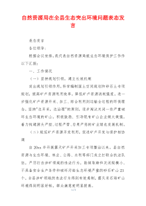 自然资源局在全县生态突出环境问题表态发言