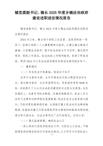 镇党委副书记、镇长2025年度乡镇法治政府建设述职述法情况报告