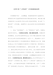 区审计局三审协同工作典型经验材料