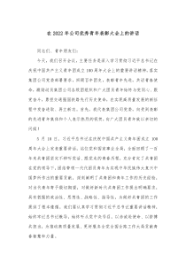 在20XX年公司优秀青年表彰大会上的讲话