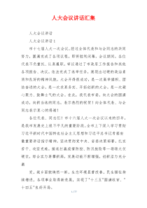 人大会议讲话汇集