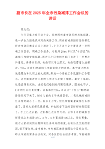 副市长在2025年全市污染减排工作会议的讲话