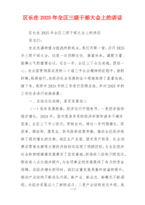 区长在2025年全区三级干部大会上的讲话