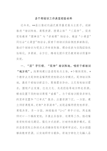 县干部培训工作典型经验材料