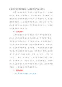 X局学习宣传贯彻党的二十大精神工作方案通用