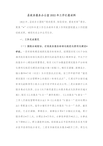 县政务服务办公室20XX年工作汇报材料