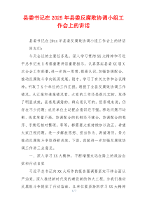 县委书记在2025年县委反腐败协调小组工作会上的讲话