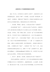 县政府办工作典型经验发言材料