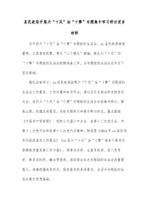 县民政局开展兴十风治十弊专题集中学习研讨发言材料