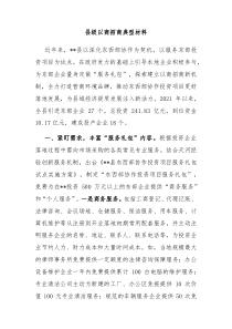 县级以商招商典型材料