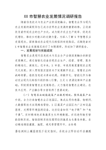 XX市智慧农业发展情况调研报告(整理)