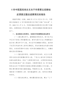 X市中医医院党总支关于市委第五巡察组反馈意见整改进展情况的报告(整理)