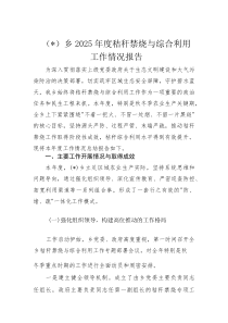 乡镇2025年度秸秆禁烧与综合利用工作情况报告(整理)