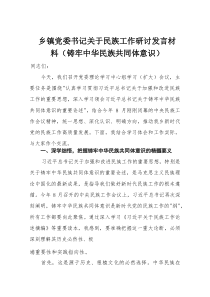乡镇党委书记关于民族工作研讨发言材料（铸牢中华民族共同体意识）(整理)