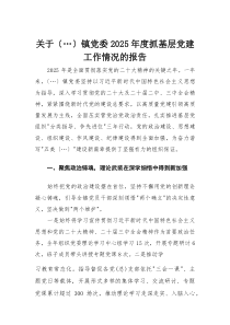 关于乡镇党委2025年度抓基层党建工作情况的报告(整理)