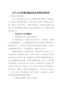 关于公文抄袭问题自查自纠情况的报告(整理)