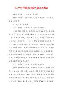 在2025年县政府全体会上的发言