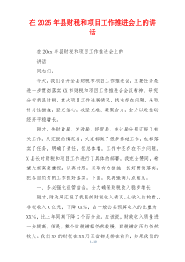 在2025年县财税和项目工作推进会上的讲话