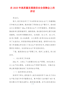 在2025年高质量发展提供安全保障会上的讲话