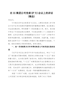 在XX集团公司党委(扩大)会议上的讲话（精品）(整理)