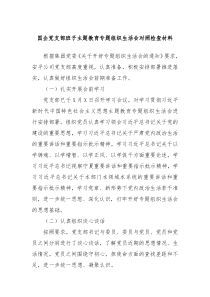 国企党支部班子主题教育专题组织生活会对照检查材料