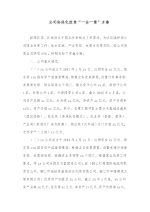 公司实体化改革一企一策方案