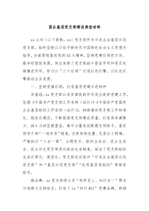 国企基层党支部建设典型材料