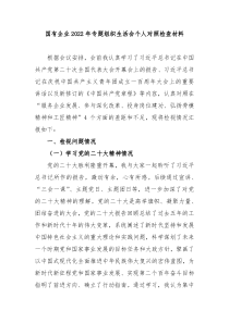 国有企业20XX年专题组织生活会个人对照检查材料