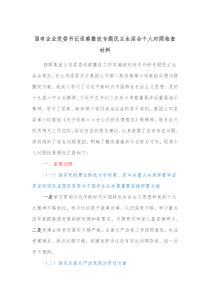 国有企业党委书记巡察整改专题民主生活会个人对照检查材料