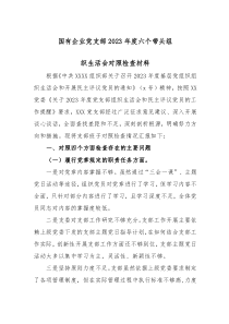 国有企业党支部20XX年度六个带头组织生活会对照检查材料范文
