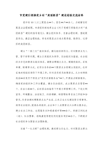 市党建引领推进乡村美丽新居建设经验交流材料