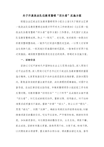 关于开展政法队伍教育整顿回头看实施方案