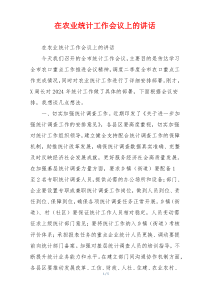 在农业统计工作会议上的讲话