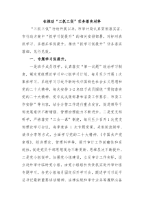在推动三抓三促任务落实材料
