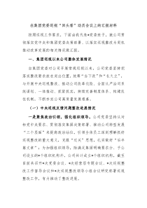 在集团党委巡视回头看动员会议上的汇报材料