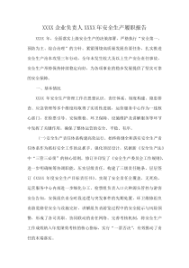 XXXX企业负责人XXXX年安全生产履职报告(资料)