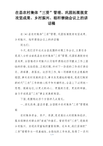在县农村集体“三资”管理、巩固拓展脱贫攻坚成果、乡村振兴、秸秆禁烧会议上的讲话稿