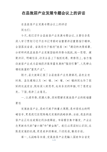 在县旅居产业发展专题会议上的讲话