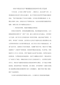 XXXX年度安全生产事故隐患自查自纠专项工作总结(资料)