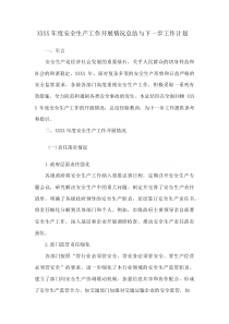 XXXX年度安全生产工作开展情况总结与下一步工作计划(资料)