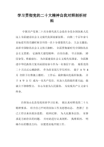学习贯彻党的二十大精神自我对照剖析材料