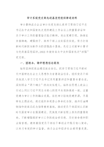 审计系统党支部先进基层党组织事迹材料