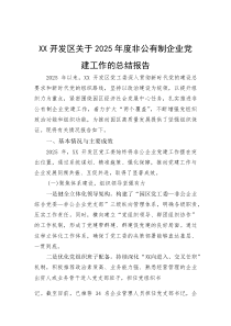XX开发区关于2025年度非公有制企业党建工作的总结报告(资料)