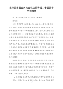 在市委常委会扩大会议上的讲话二十届四中全会精神