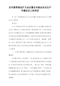 在市委常委会扩大会议暨全市渔业安全生产专题会议上的讲话