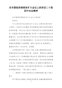 在市委组织部部务扩大会议上的讲话二十届四中全会精神