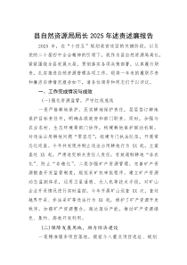 县自然资源局局长2025年述责述廉报告(资料)